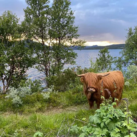 Tatil Evi Porten Til Jotunheimen *